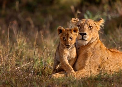 5-Day Serengeti and Ngorongoro Budget Safari