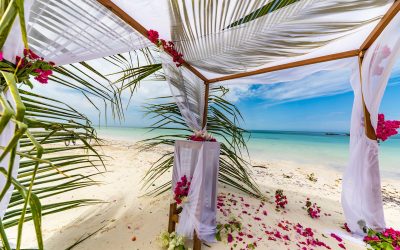 Zanzibar Real Honneymoon Vacation