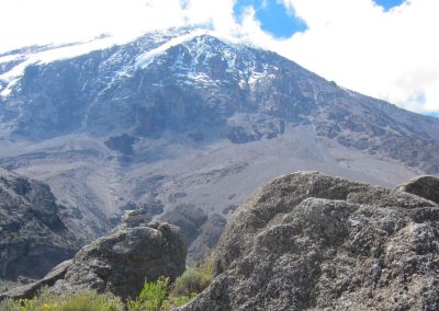 Lemosho Route Trekking: 8 Days (7 or 9-Day Alternatives Available)