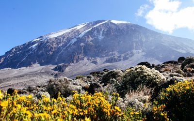 Trek Kilimanjaro via the Marangu Route