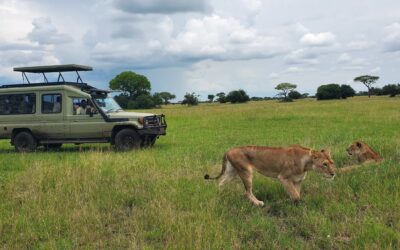 Game drive in Serengeti Tanzania