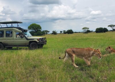 12-Day Northern Circuit Safari Zanzibar Extension