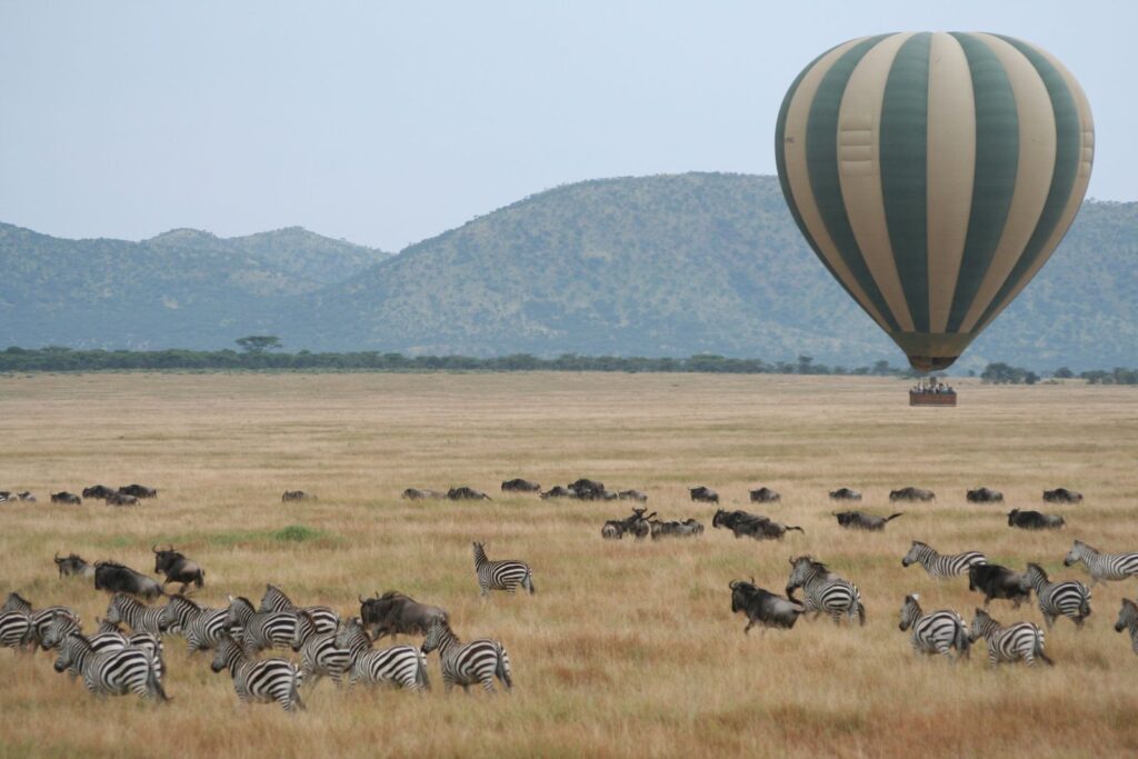 Balloon & wildlife with a view Serengeti!(1)