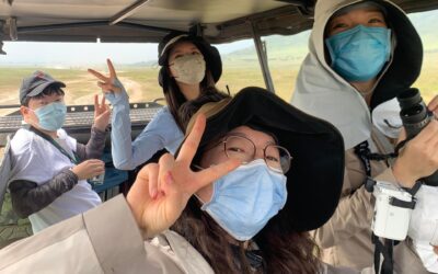 Enjoy Gamedrive in Serengeti